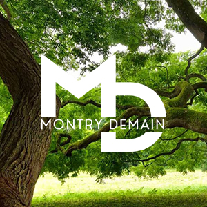 programme MONTRY DEMAIN